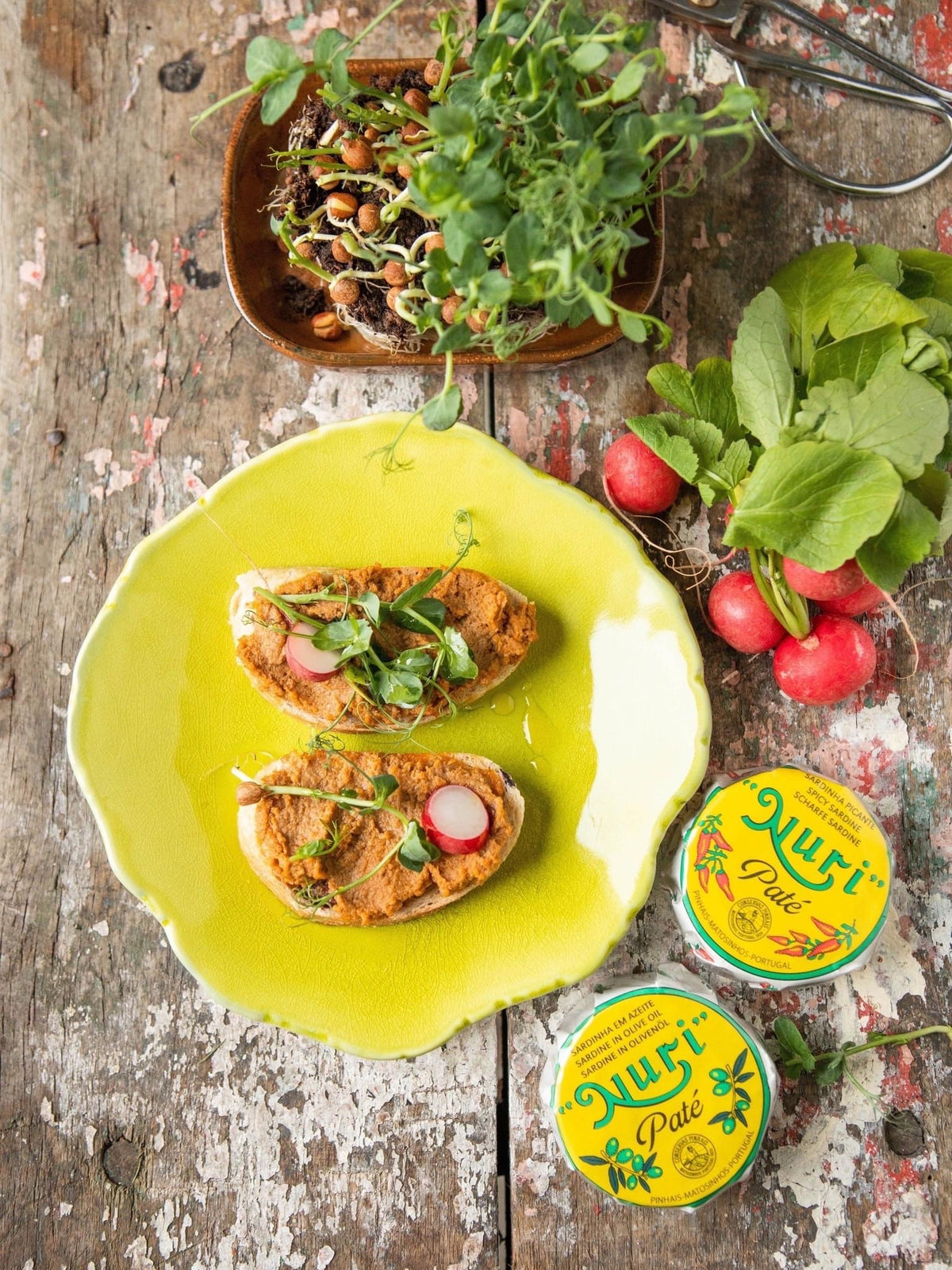 Sardinen-Paté in Olivenöl